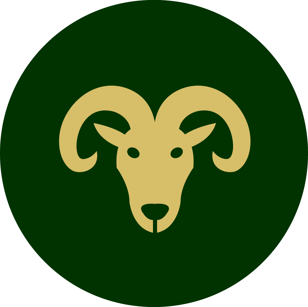 Aries - ROMALI