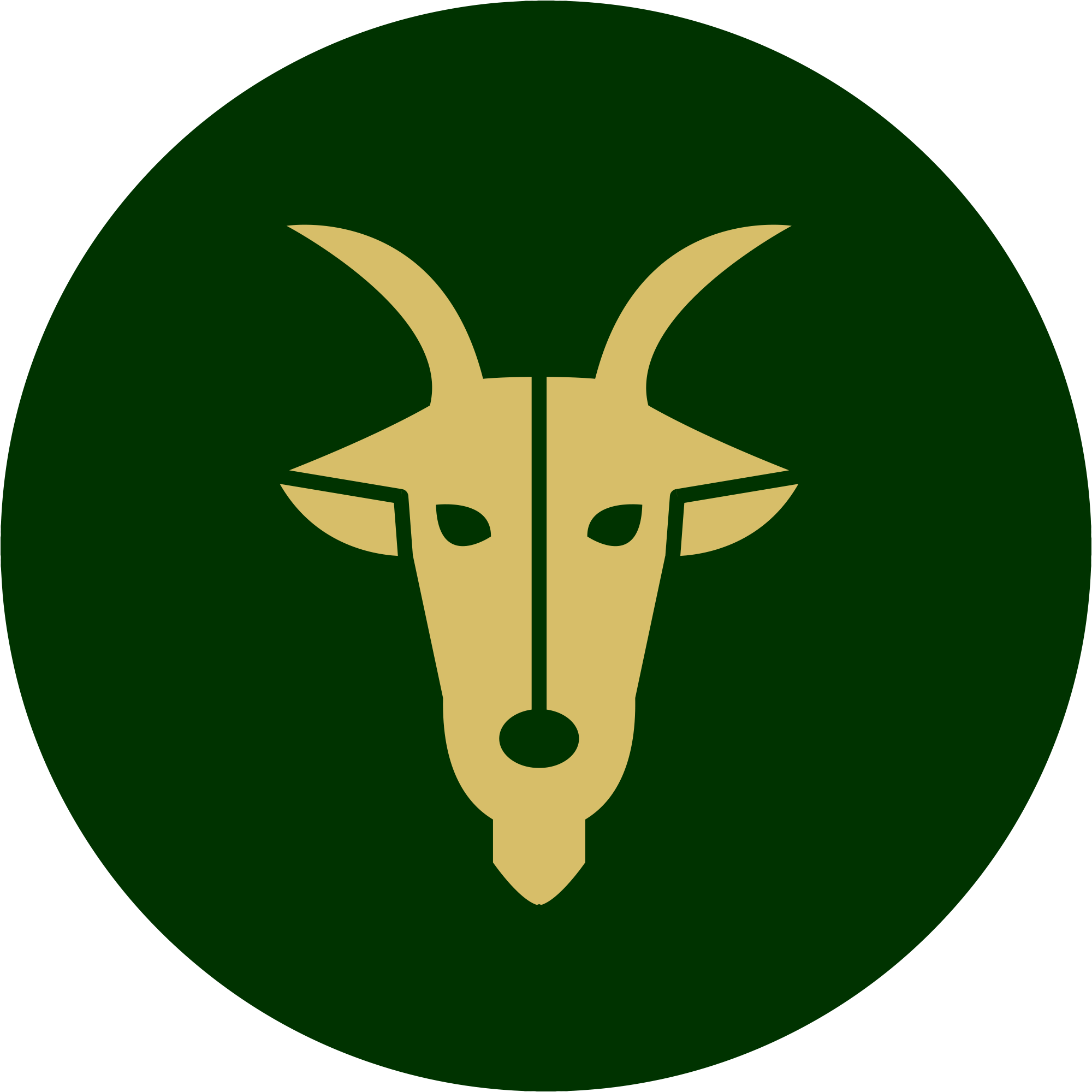 Capricorn - ROMALI