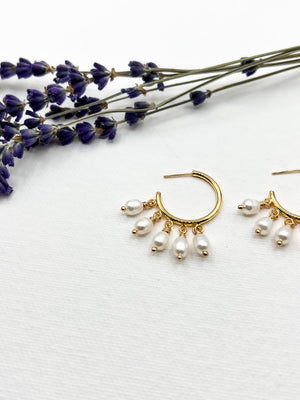 Cascade Loop Earrings - Freshwater Pearls, 18k Gold-plated
