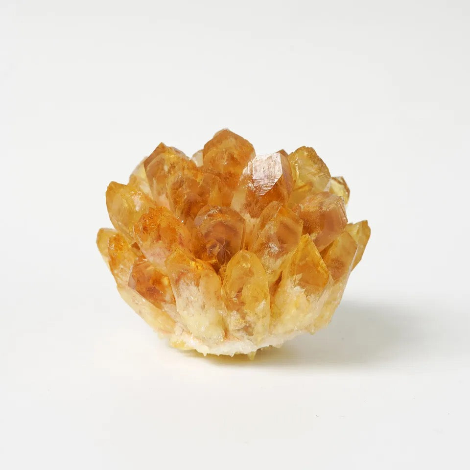 Citrine Lotus Cluster for Manifestation and Confidence