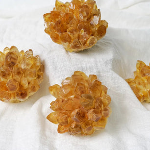 Citrine Lotus Cluster for Manifestation and Confidence