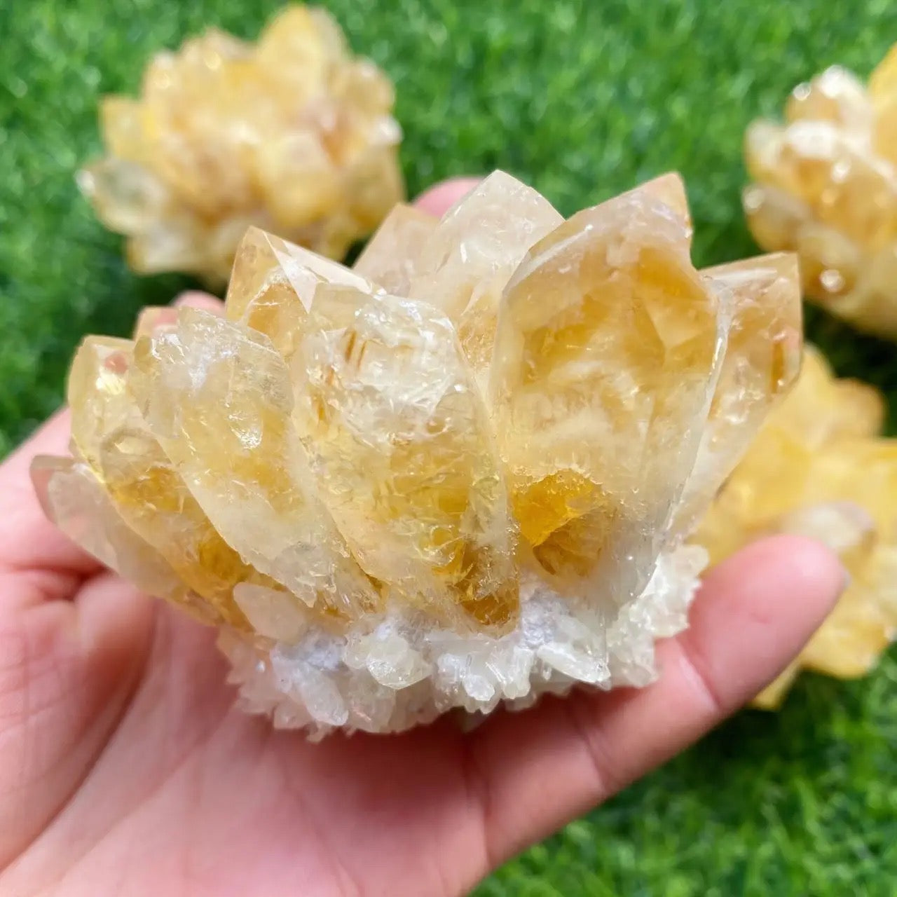 Citrine Lotus Cluster for Manifestation and Confidence